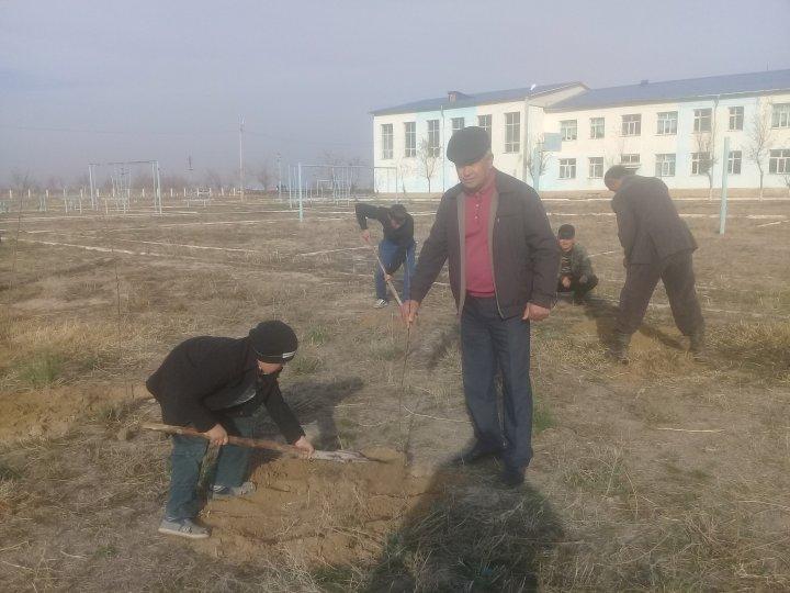 Қарасу орта мектебінде руханий жаңғыруға байланысты жеміс ағаштары отырғызылды